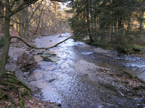 Der Bachlauf der Elpe, unmittelbar an der Tretstelle 